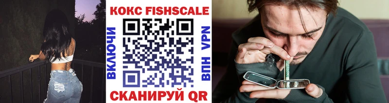 закладки Пятигорск Cocaine Fish Scale
