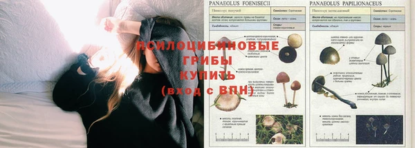 трава Майский