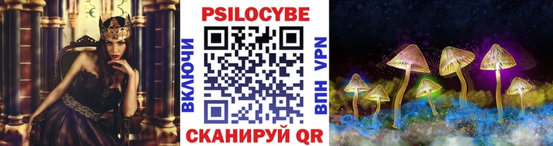 где найти   Пятигорск  Галлюциногенные грибы мицелий 
