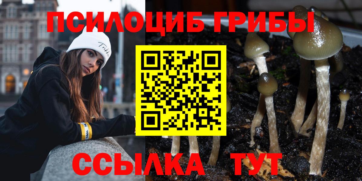 Пятигорск  Галлюциногенные грибы MAGIC MUSHROOMS  Вход с VPN 
